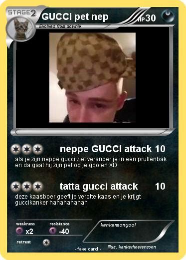 neppe gucci pet